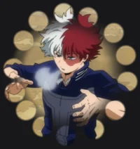 Shoto Todoroki 