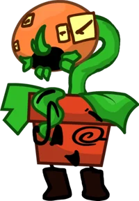 Venus Fly Trap n Pot