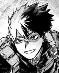 Shoto Todoroki