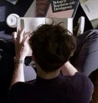 Arranged Marriage V2