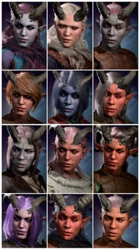 les tieffelins harem