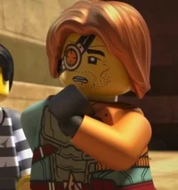 Ronin ninjago