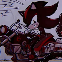 Shadow T Hedgehog 