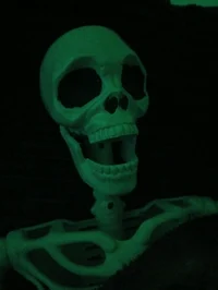 Find out the word P1