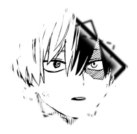 todoroki shoto