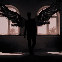 The Winged Man