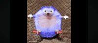 Blue Hedgehog 