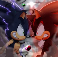 Sonic and Shadow