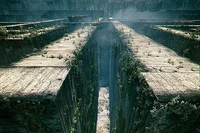 The Maze Runner