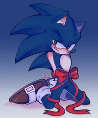 Sonic Gift