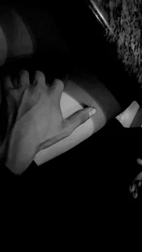 theo - bf