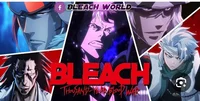 Bleach