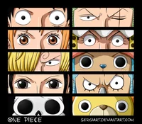 Strawhat crew