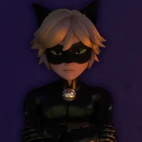 Chat Noir