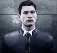 Connor - DBH