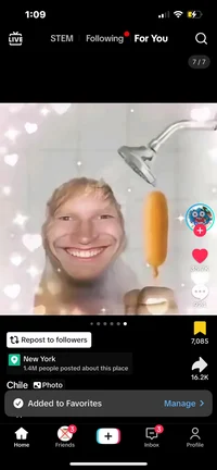 PleasantClownfish648