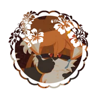 Tails Doll
