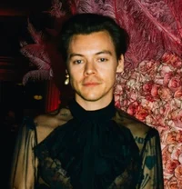 harry styles - 2019