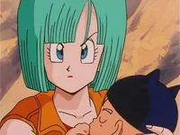Bulma