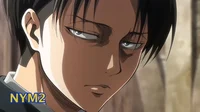 Levi Ackerman 