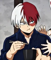 Shoto Todoroki