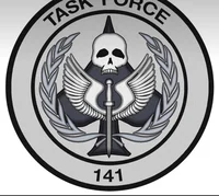 Task force 