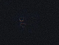 Unnamed entity - FPE