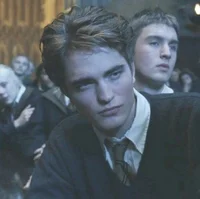Cedric Diggory 