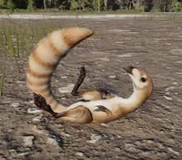 sinosauropteryx