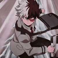 Shoto Todoroki 