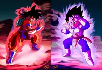 Goku and Vegeta