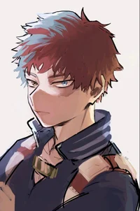 Shoto Todoroki
