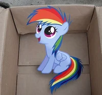 Your Little Dashie