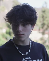 matt sturniolo