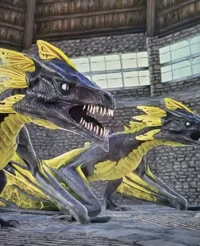 Lightning dragons