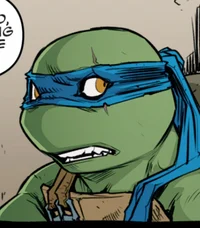 IDW Leonardo 