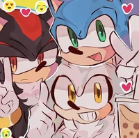 Sonic and Shadow