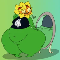 destello solar gorda