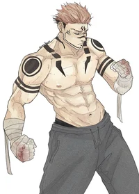 Sukuna is your class