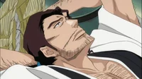 Shunsui Kyoraku