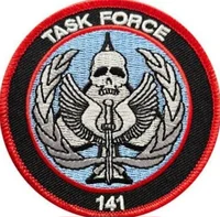 Task Force 141