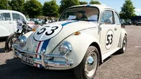 Herbie