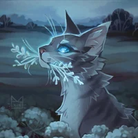 Jayfeather - WoCa