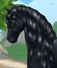 Gen 2 Friesian 