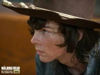 Carl grimes 