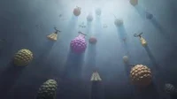 Akuma no mi