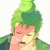 Mercenary Zoro 