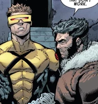 Cyclops - Wolverine