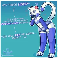Femboy Discord Cat