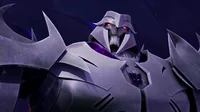 Megatron -tfp-